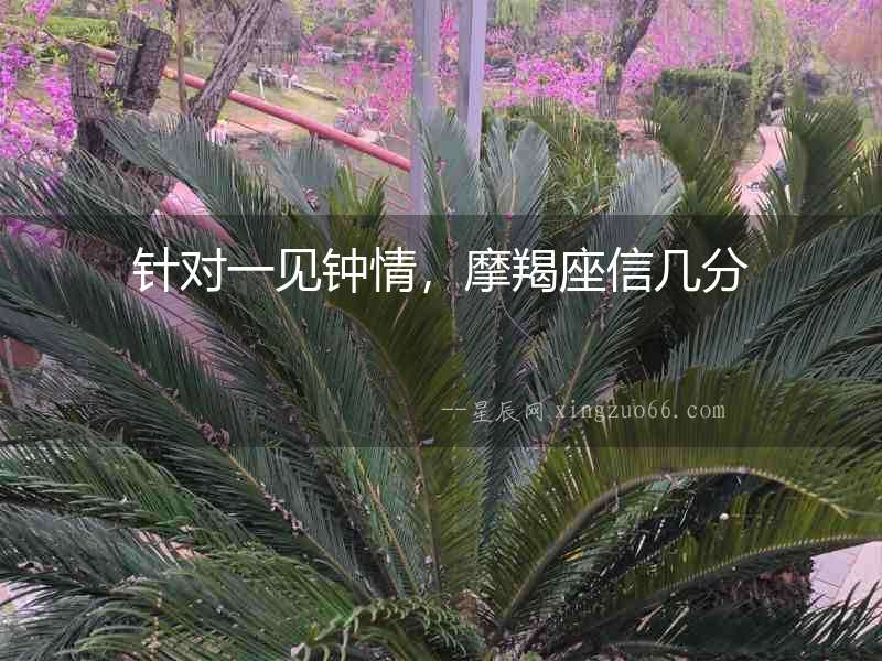 針對一見鐘情，摩羯座信幾分