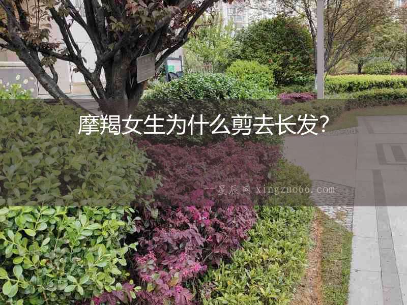 摩羯女生為什么剪去長發(fā)？
