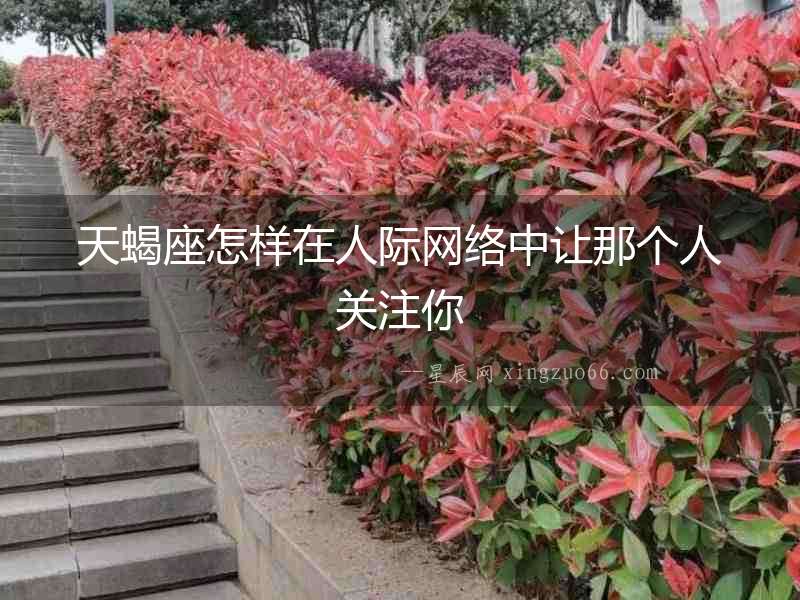 天蝎座怎樣在人際網(wǎng)絡中讓那個人關注你
