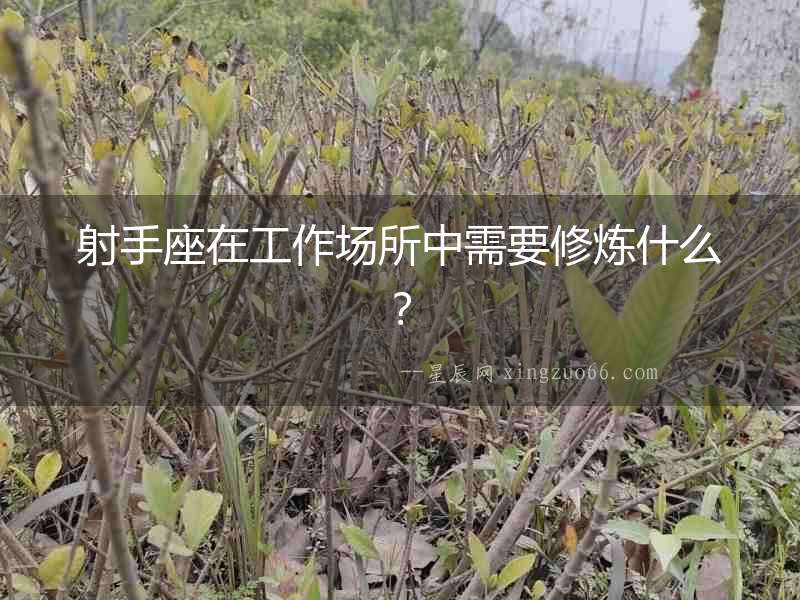 射手座在工作場(chǎng)所中需要修煉什么？