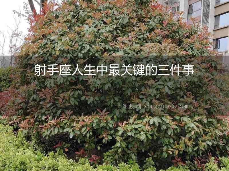 射手座人生中最關(guān)鍵的三件事