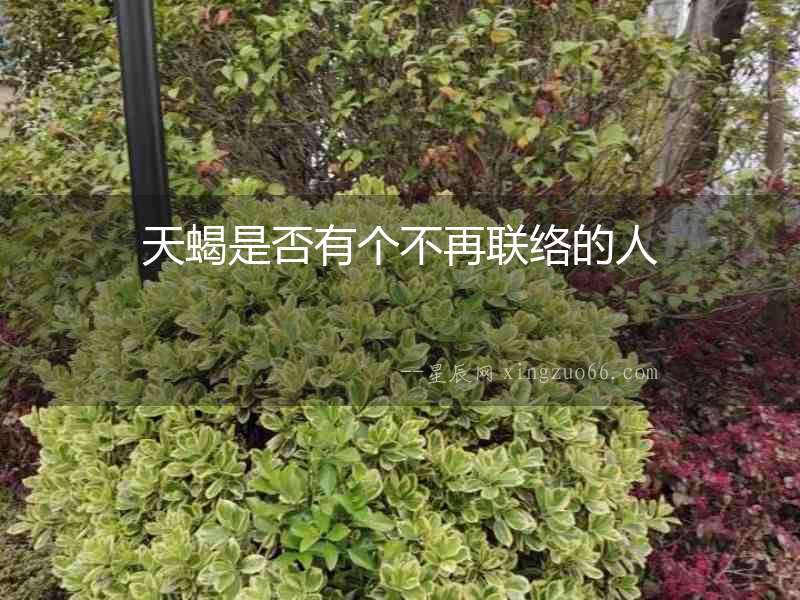 天蝎是否有個不再聯(lián)絡(luò)的人