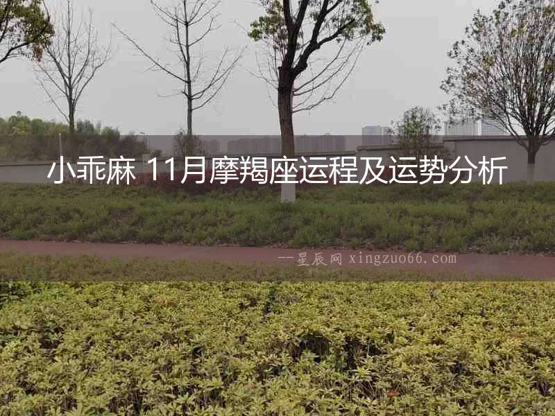 小乖麻 11月摩羯座運程及運勢分析