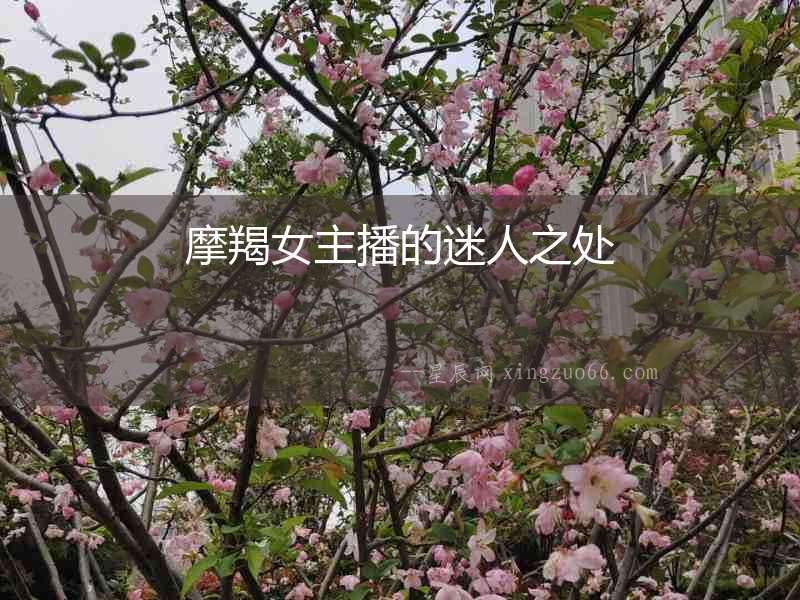 摩羯女主播的迷人之處