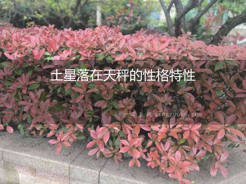 土星落在天秤的性格特性