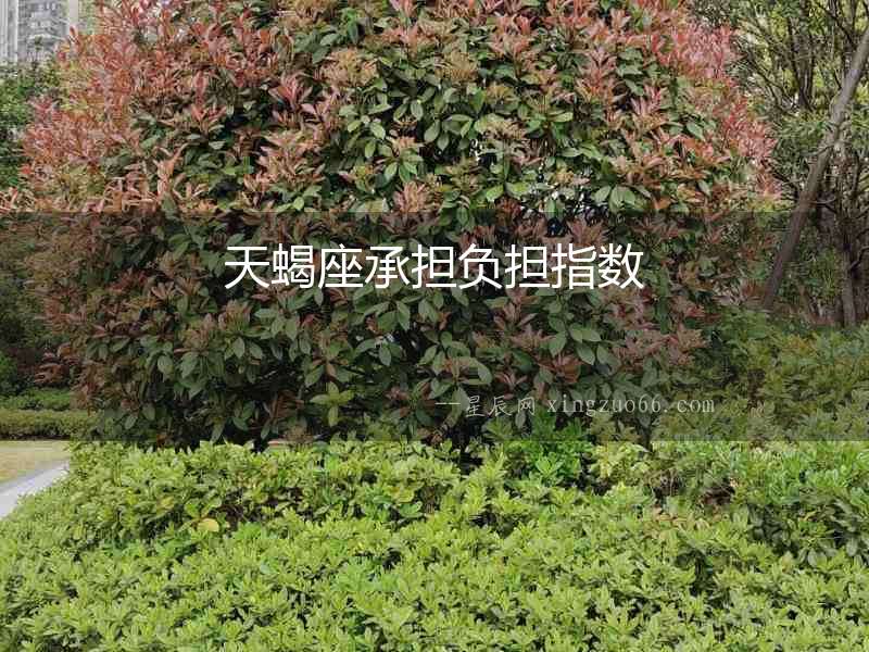 天蝎座承擔(dān)負(fù)擔(dān)指數(shù)