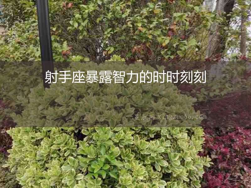 射手座暴露智力的時(shí)時(shí)刻刻