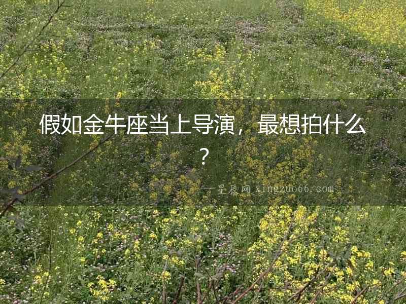 假如金牛座當(dāng)上導(dǎo)演，最想拍什么？