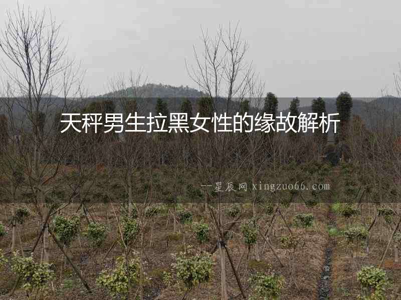天秤男生拉黑女性的緣故解析