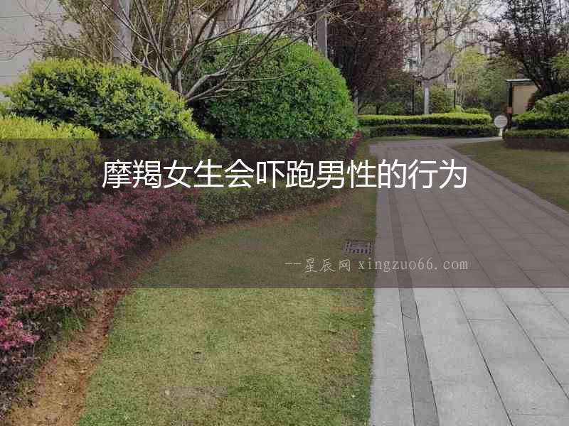 摩羯女生會(huì)嚇跑男性的行為