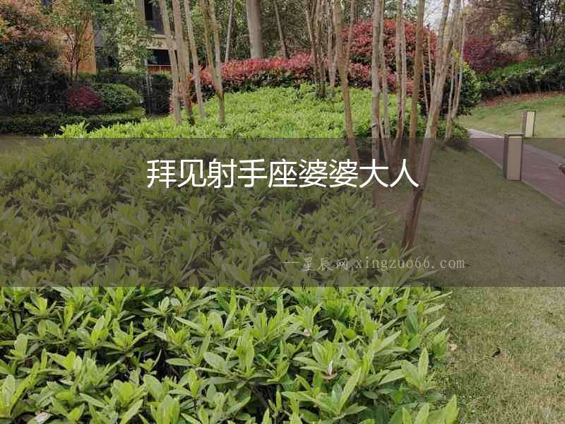 拜見(jiàn)射手座婆婆大人