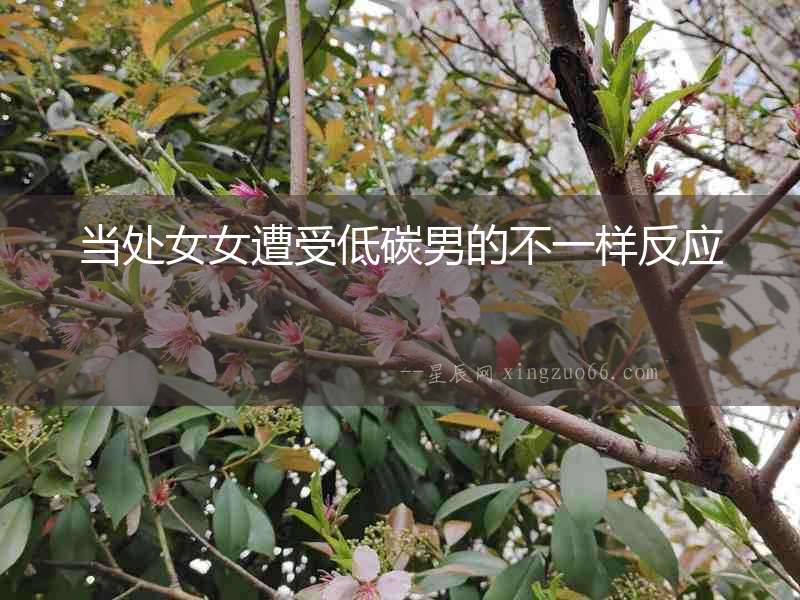當處女女遭受低碳男的不一樣反應