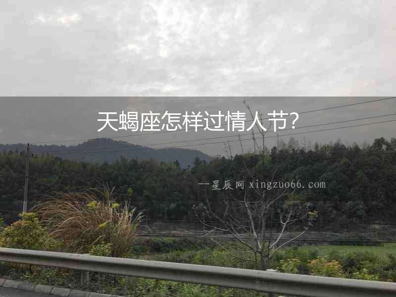 天蝎座怎樣過情人節？