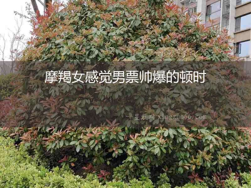 摩羯女感覺(jué)男票帥爆的頓時(shí)