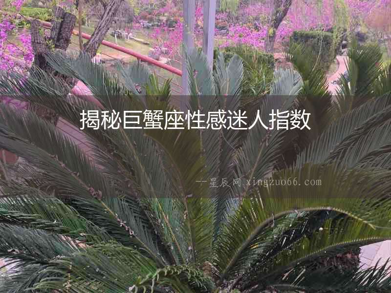 揭秘巨蟹座性感迷人指數(shù)