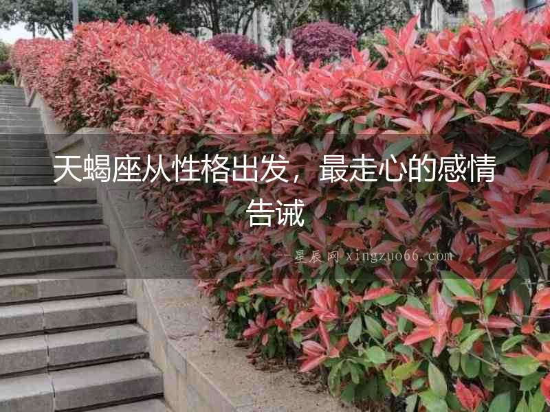 天蝎座從性格出發，最走心的感情告誡