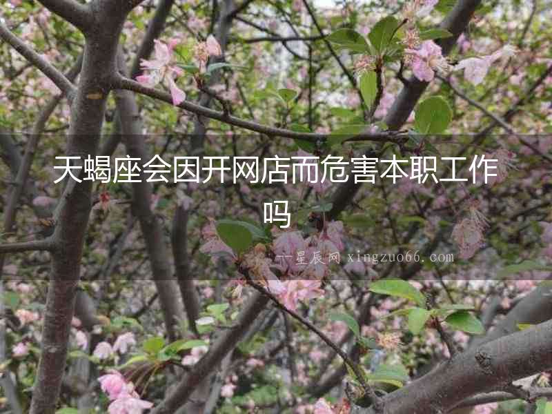 天蝎座會因開網店而危害本職工作嗎