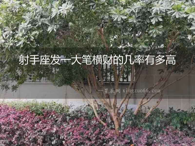 射手座發(fā)一大筆橫財?shù)膸茁视卸喔? alt=