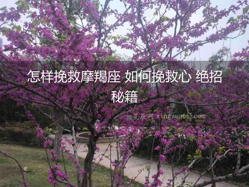 怎樣挽救摩羯座 如何挽救心 絕招秘籍