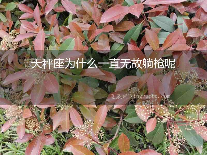 天秤座為什么一直無故躺槍呢