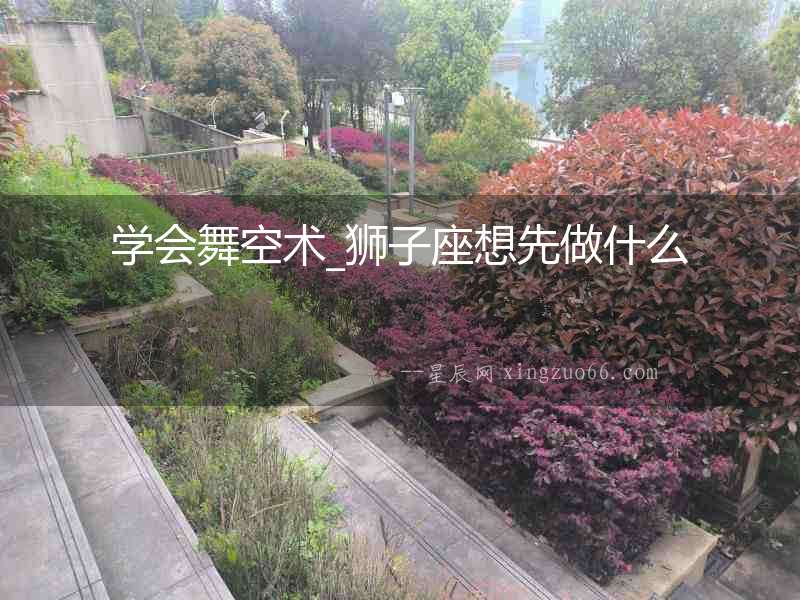 學(xué)會舞空術(shù)_獅子座想先做什么