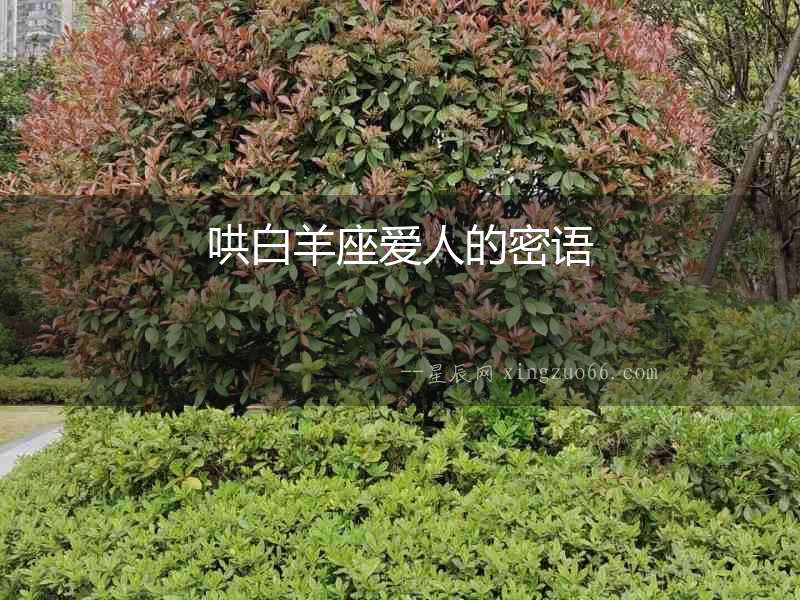 哄白羊座愛(ài)人的密語(yǔ)
