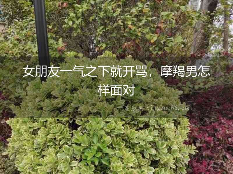 女朋友一氣之下就開罵，摩羯男怎樣面對