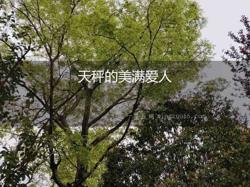 天秤的美滿愛人