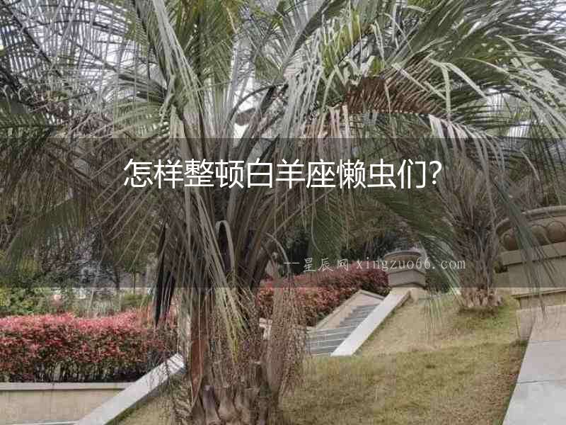 怎樣整頓白羊座懶蟲們？