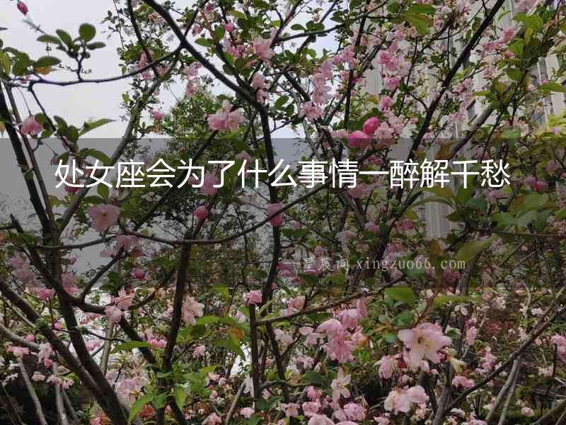 處女座會為了什么事情一醉解千愁