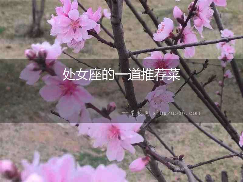 處女座的一道推薦菜