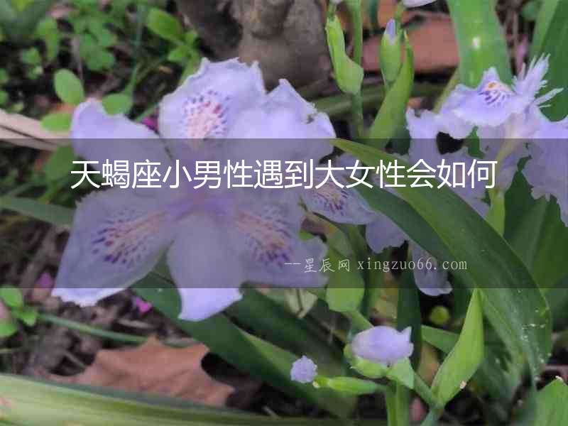 天蝎座小男性遇到大女性會如何