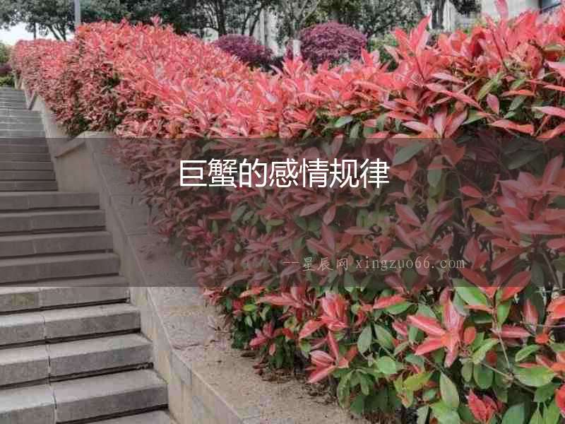 巨蟹的感情規律