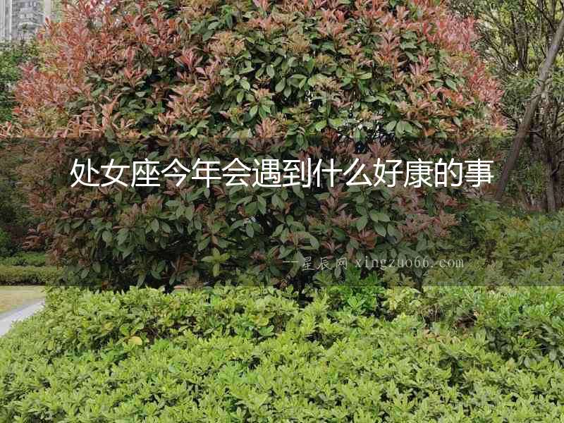 處女座今年會遇到什么好康的事