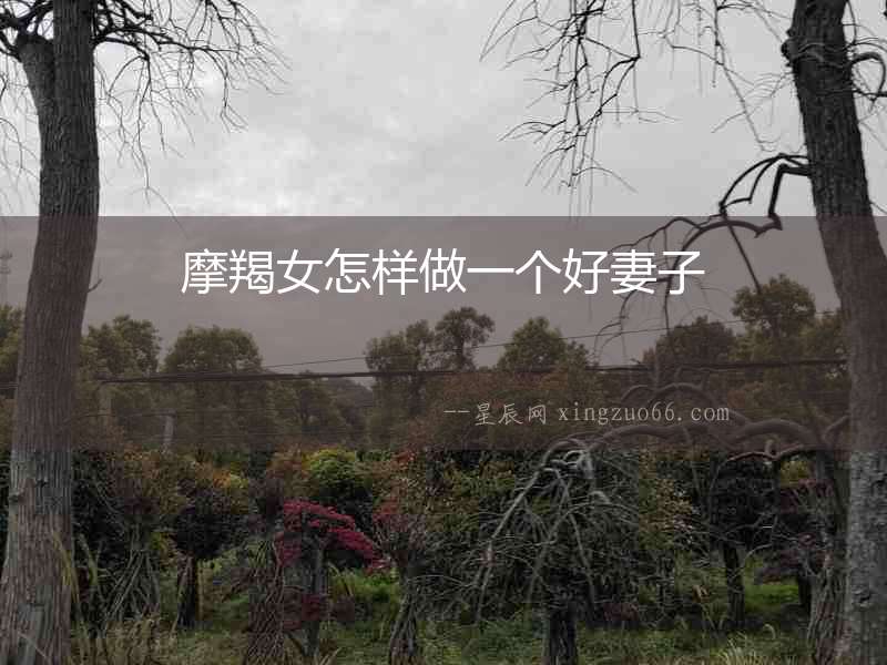 摩羯女怎樣做一個好妻子