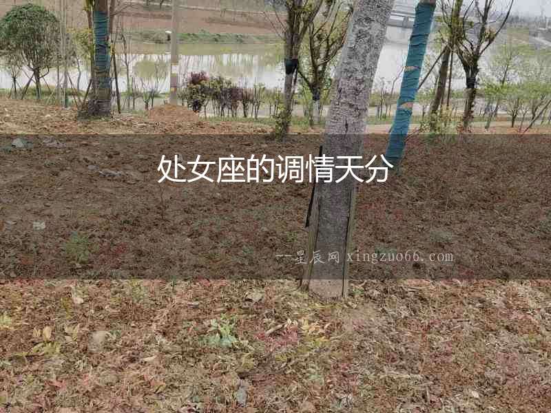 處女座的調情天分
