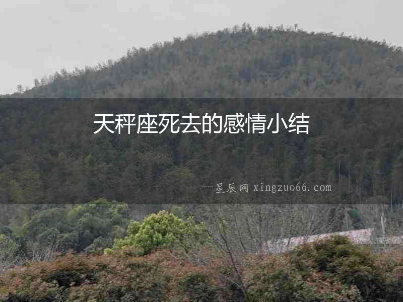 天秤座死去的感情小結