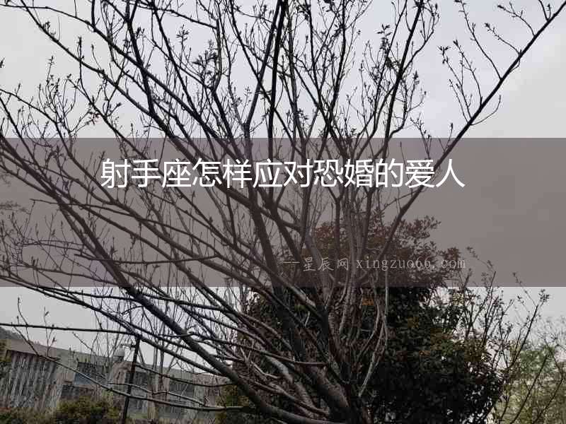 射手座怎樣應(yīng)對(duì)恐婚的愛(ài)人