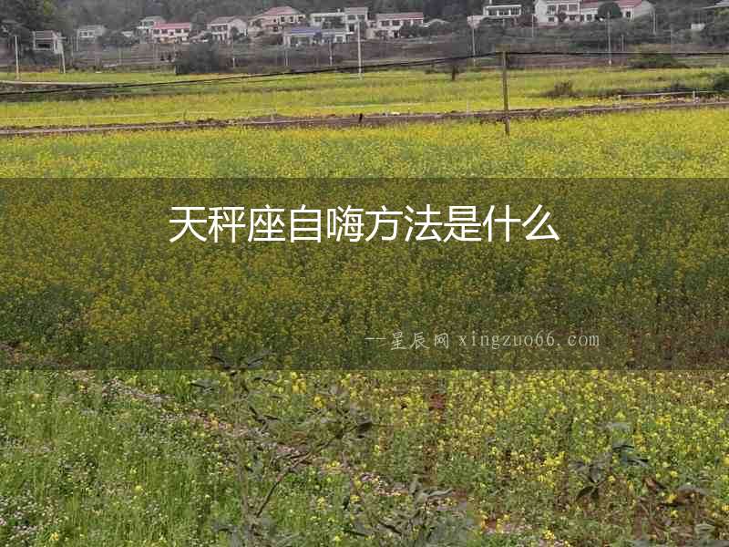 天秤座自嗨方法是什么
