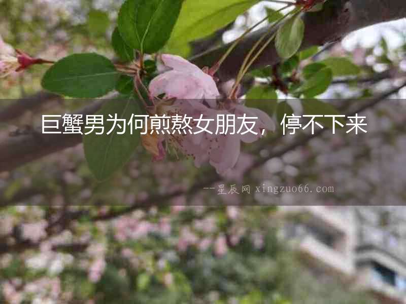 巨蟹男為何煎熬女朋友，停不下來