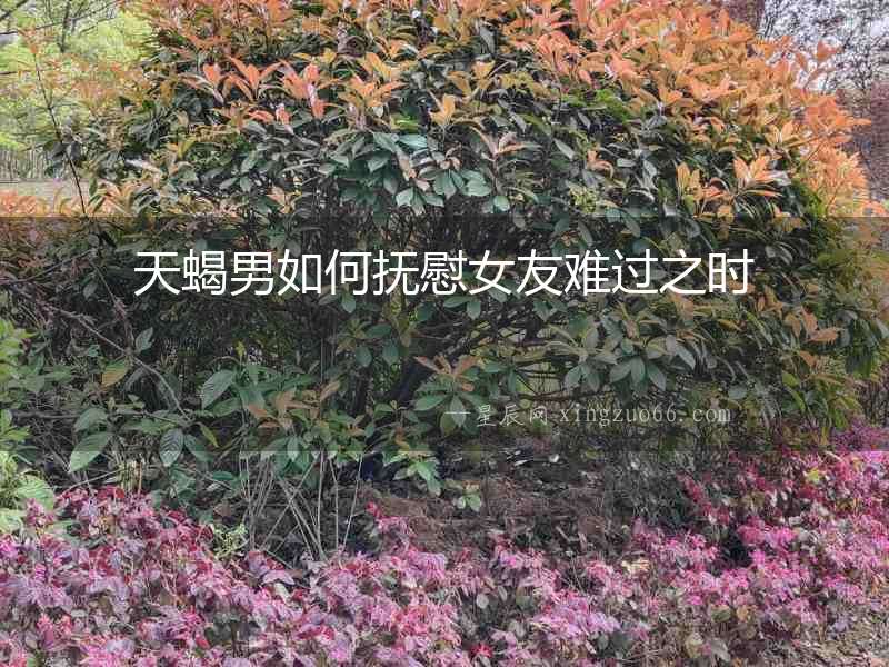 天蝎男如何撫慰女友難過之時