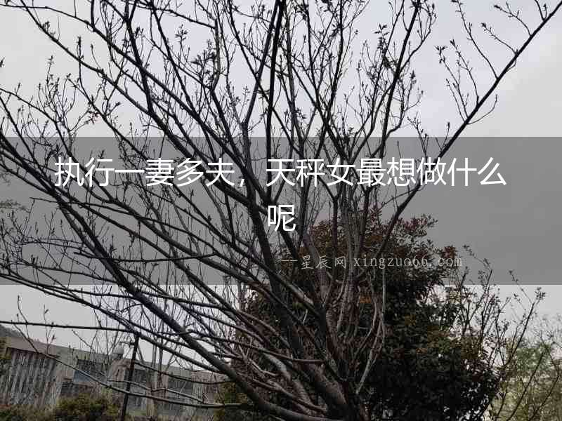 執(zhí)行一妻多夫，天秤女最想做什么呢