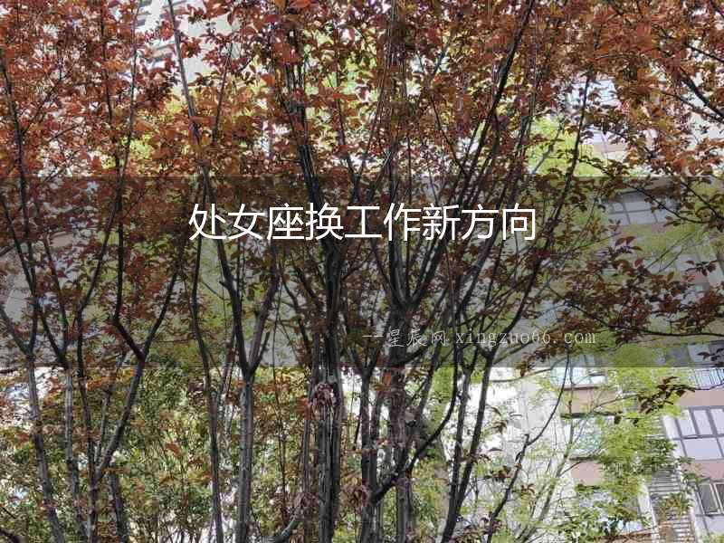 處女座換工作新方向