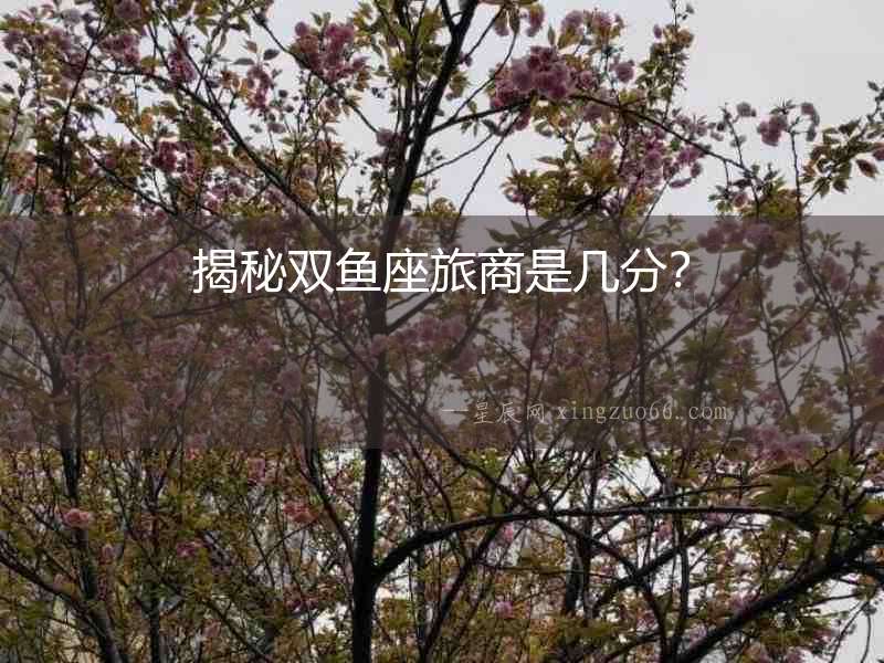 揭秘雙魚座旅商是幾分？