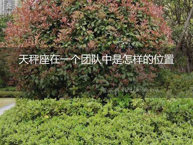 天秤座在一個團隊中是怎樣的位置