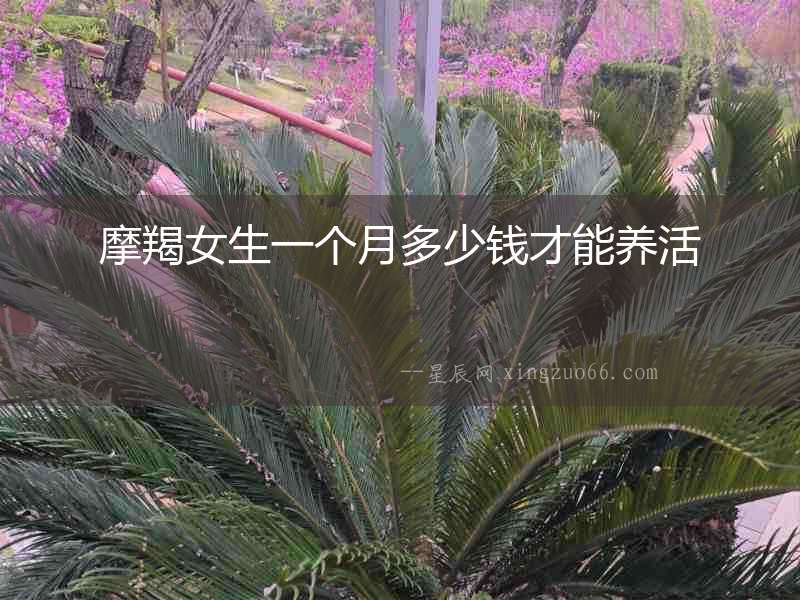 摩羯女生一個月多少錢才能養(yǎng)活