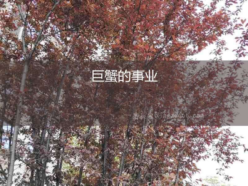 巨蟹的事業