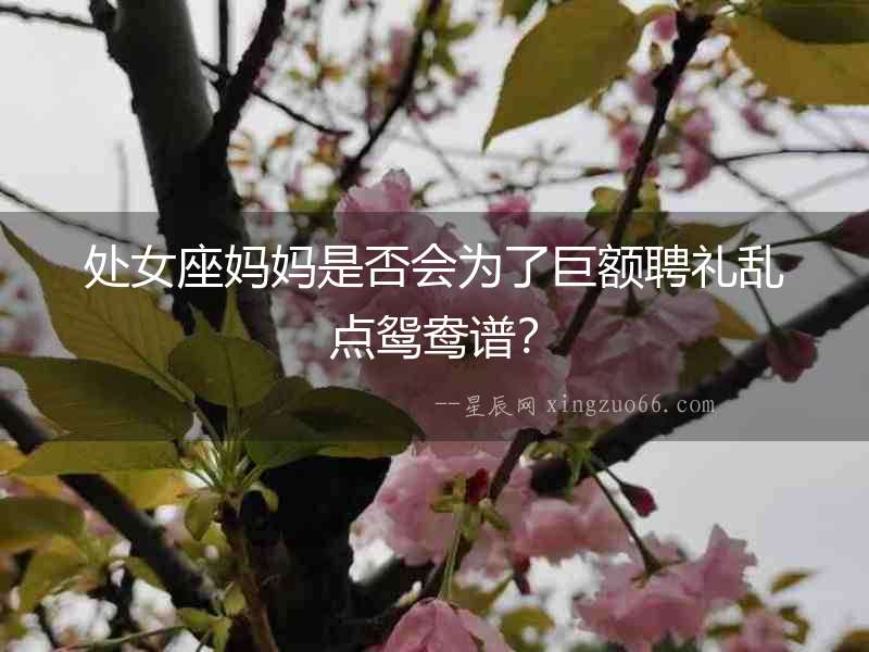處女座媽媽是否會為了巨額聘禮亂點鴛鴦譜？