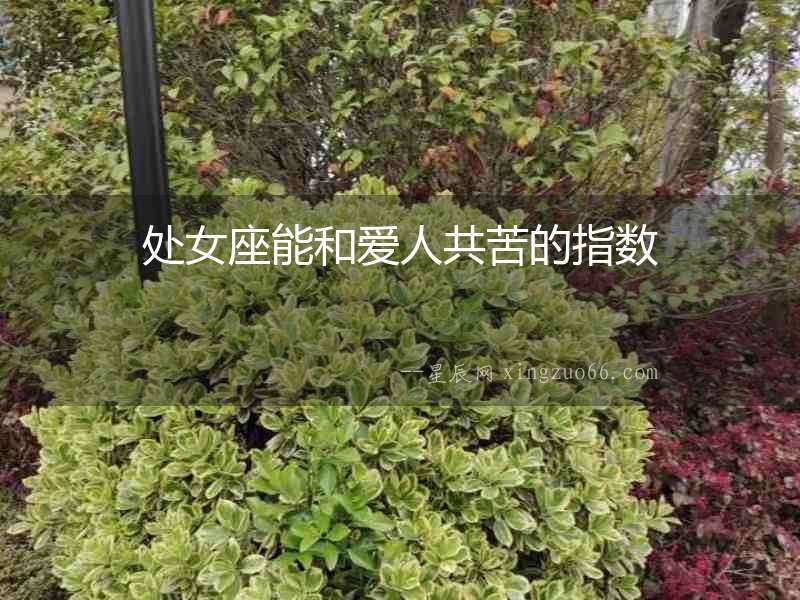 處女座能和愛人共苦的指數