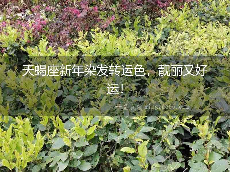 天蝎座新年染發轉運色，靚麗又好運！